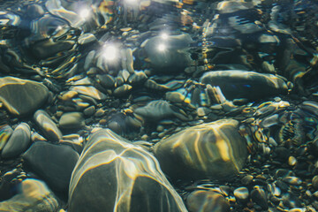 coral reef in the sea