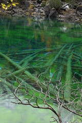 Lac Vert à Névache (05)