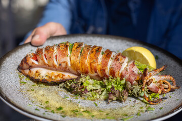 Traditional greek cuisine, grilled squid with piece of lemon and green salad, dish on a plate in a restaurant, Greece