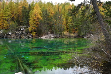 Lac Vert à Névache (05)