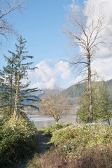 Island 22 Regional Park along Fraser River during a fall season in Chilliwack, British Columbia, Canada