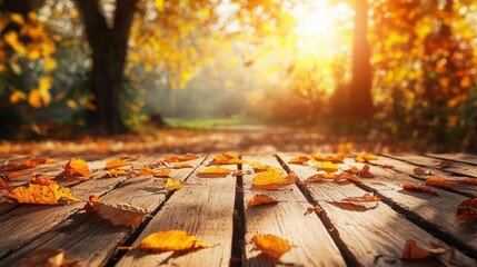 Sunlit autumn leaves on wooden path in forest