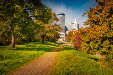 Empty alley in the Danube Island with white skyscrapers on background. Splendid autumn cityscape of Vienna, Austria, Europe. Traveling concept background..