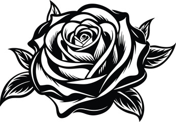 black and white rose vector illustration. 