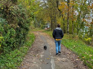 A person walking a small dog along a scenic path surrounded by trees in autumn colors near a river...