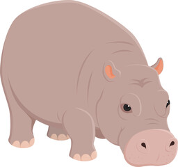 Hippo pygme eat drink character illustration design