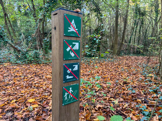Signboard displaying prohibited activities in a serene forest trail surrounded by colorful autumn...