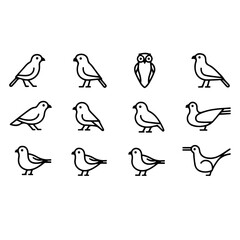 Birds vector design