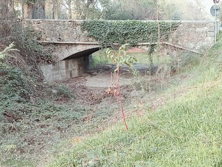 ancient and characteristic small stone bridge in Italy