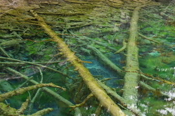 Lac Vert à Névache (05)
