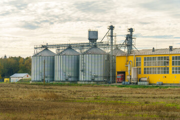 silver silos on agro manufacturing plant for processing drying cleaning and storage of agricultural products, flour, cereals and grain. Large iron barrels of grain. Granary elevator