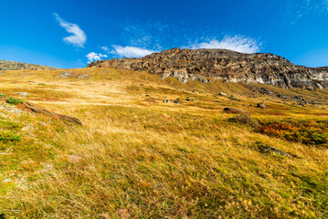 Beautiful Golden Hillside In Afternoon Light