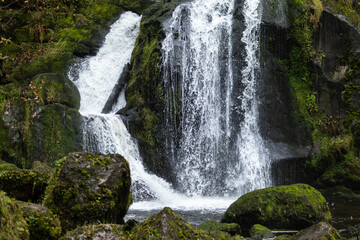 Germany's highest waterfalls in Triberg a unique memorable attraction in the Black Forest mountains.