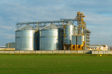 silver silos on agro manufacturing plant for processing drying cleaning and storage of agricultural products, flour, cereals and grain. Large iron barrels of grain. Granary elevator © Pokoman