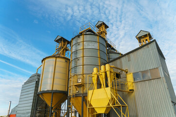 silver silos on agro manufacturing plant for processing drying cleaning and storage of agricultural products, flour, cereals and grain. Large iron barrels of grain. Granary elevator