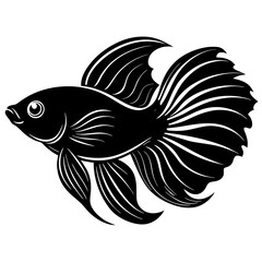 Betta fish vector silhouette on white background