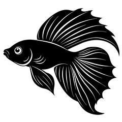 Betta fish vector silhouette on white background