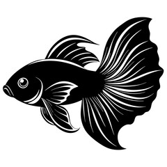 Obraz premium Betta fish vector silhouette on white background