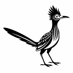 Greater Roadrunner vector silhouette on white background