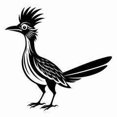 Greater Roadrunner vector silhouette on white background