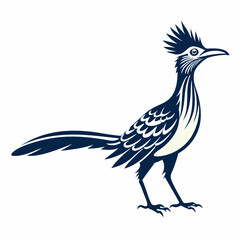 Greater Roadrunner vector silhouette on white background