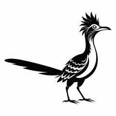 Fototapeta premium Greater Roadrunner vector silhouette on white background
