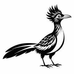 Greater Roadrunner vector silhouette on white background