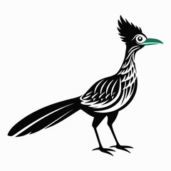 Greater Roadrunner vector silhouette on white background
