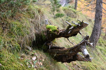 Lac Vert à Névache (05)