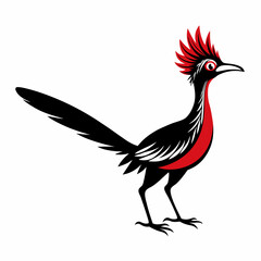 Greater Roadrunner vector silhouette on white background