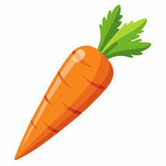 clip art realistic carrots vector illustration