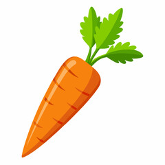 clip art realistic carrots vector illustration