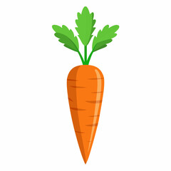 clip art realistic carrots vector illustration