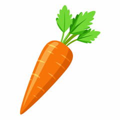 clip art realistic carrots vector illustration