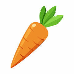 clip art realistic carrots vector illustration