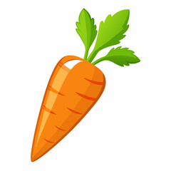 clip art realistic carrots vector illustration