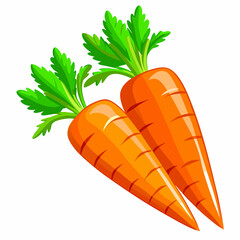 clip art realistic carrots vector illustration