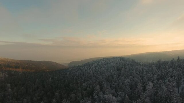 Drone video of winter forest at sunset
