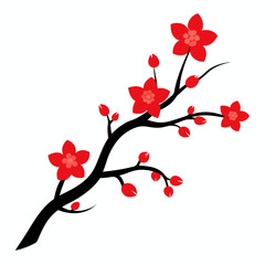 cherry blossoms vector illustration on white background