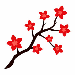 cherry blossoms vector illustration on white background
