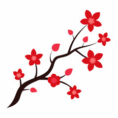 cherry blossoms vector illustration on white background