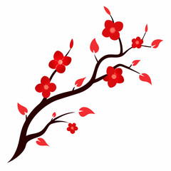 cherry blossoms vector illustration on white background