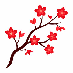 cherry blossoms vector illustration on white background