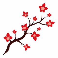 cherry blossoms vector illustration on white background