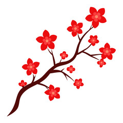 cherry blossoms vector illustration on white background