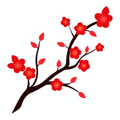 cherry blossoms vector illustration on white background