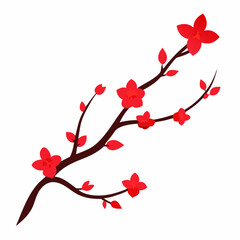 cherry blossoms vector illustration on white background