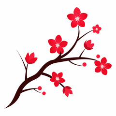 cherry blossoms vector illustration on white background