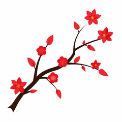 cherry blossoms vector illustration on white background
