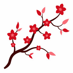 cherry blossoms vector illustration on white background